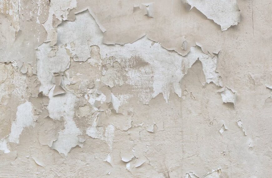 Wall Plaster Falling Off
