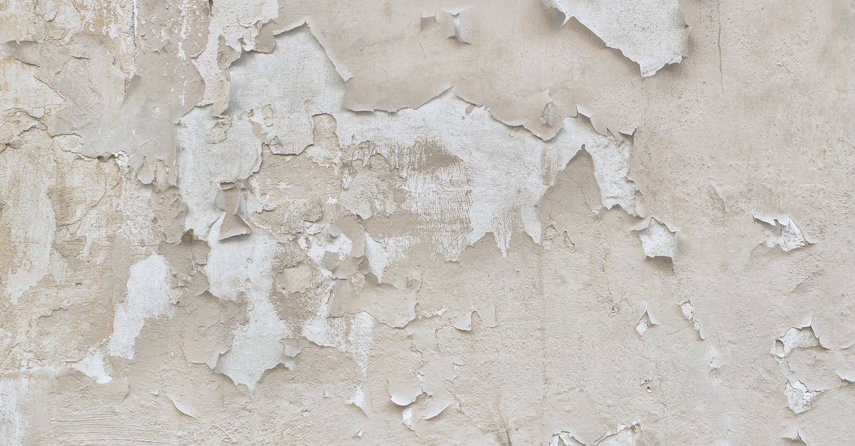 Wall Plaster Falling Off